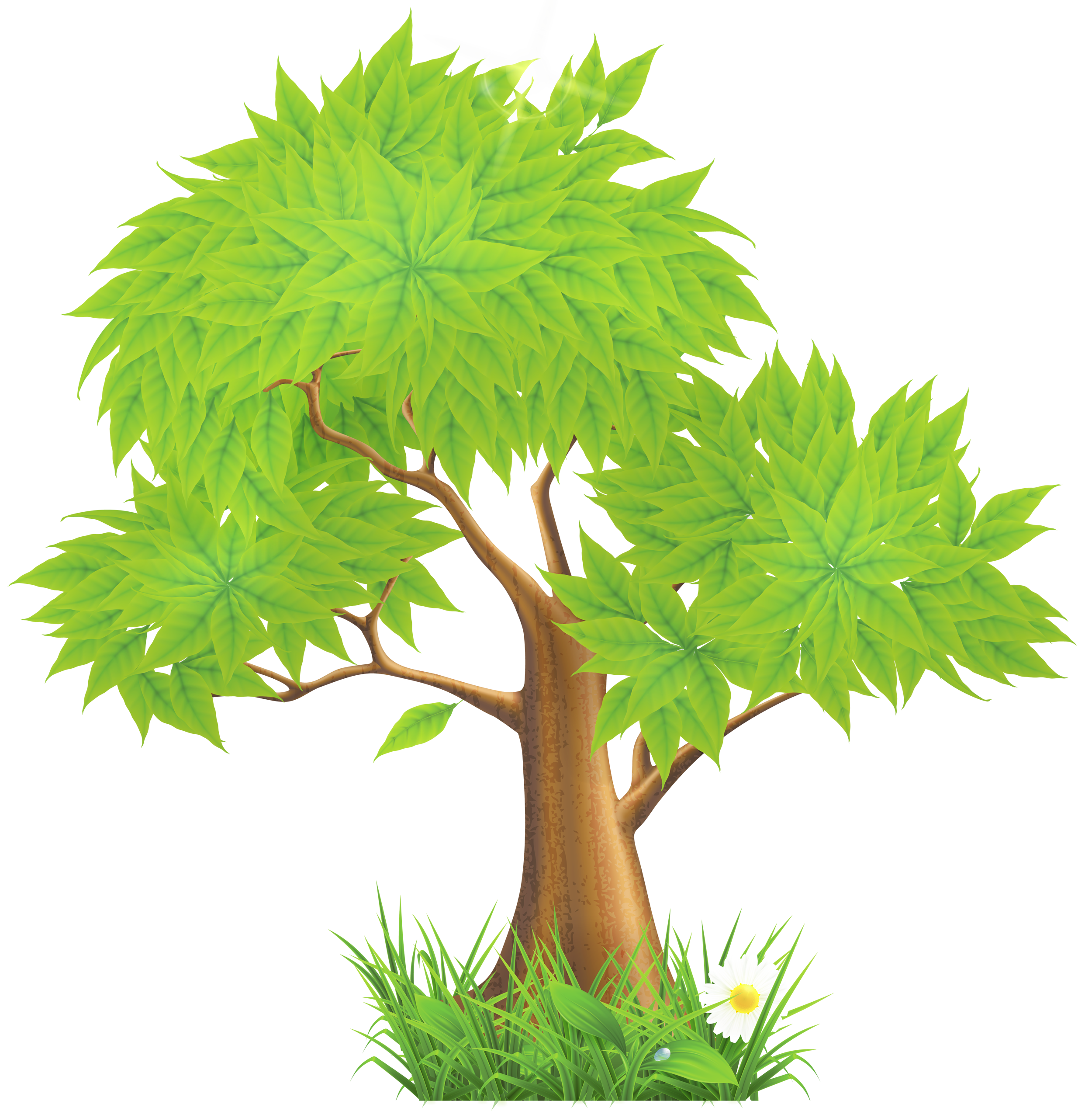 clipart picture of tree - photo #44