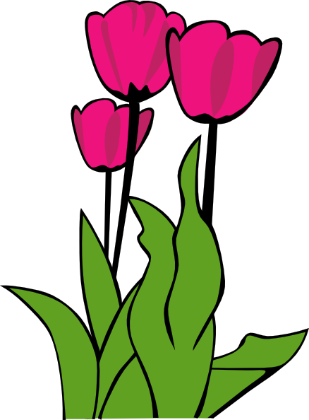 Tulips In Bloom clip art - vector clip art online, royalty free ...