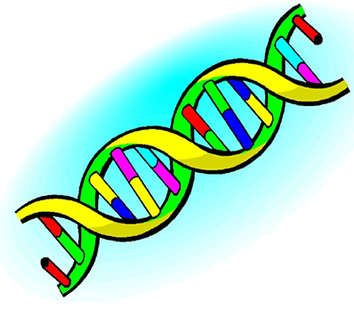 DNA | Clipart Panda - Free Clipart Images