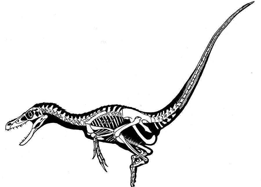 deviantART: More Like Uteodon aphanoecotos by ScottHartman