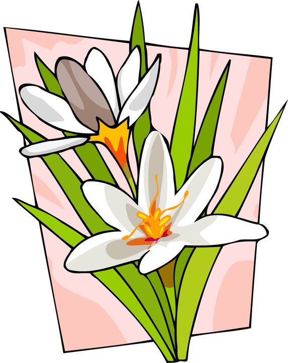 free clip art single flower - photo #47