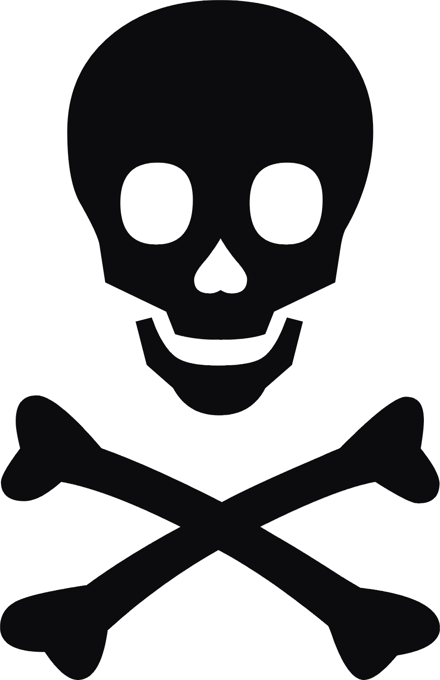 Printable Skull And Crossbones Printable Word Searches