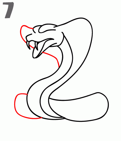 How To Draw a Cobra - Step-