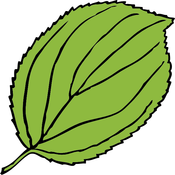 Serrate Leaf clip art Free Vector / 4Vector