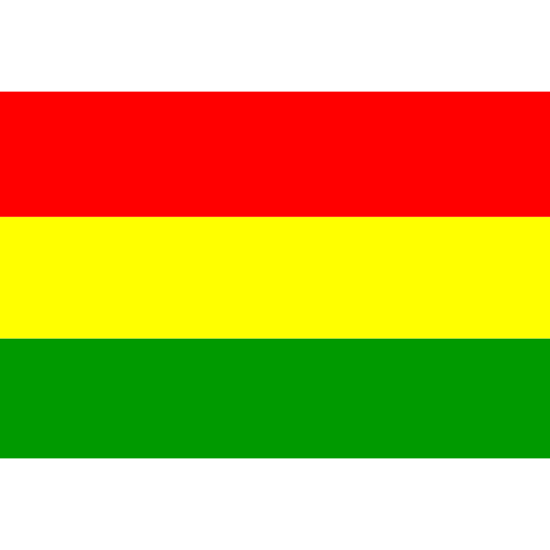 Flag_of_Bolivia.png