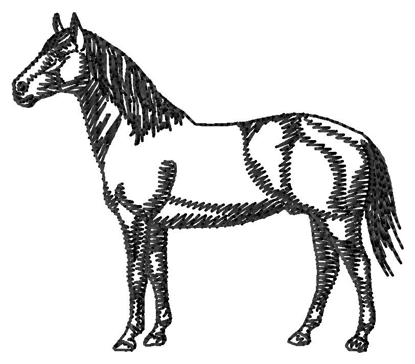 Outlines Embroidery Design: American Quarter Horse Silhouette from ...