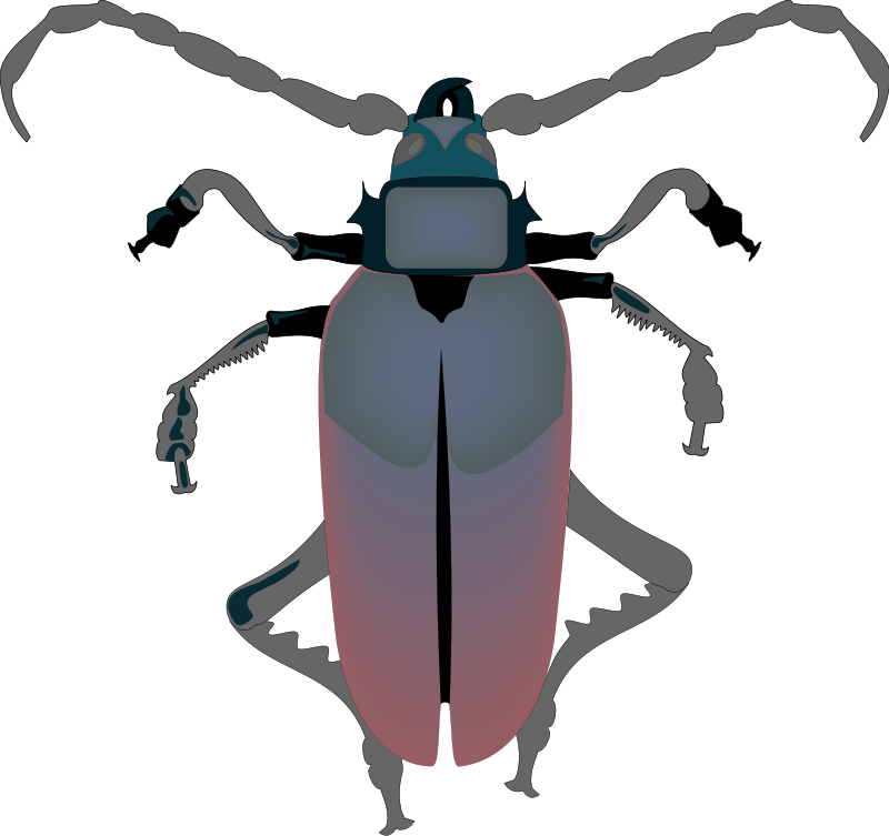 Insect 29 Free Vector / 4Vector