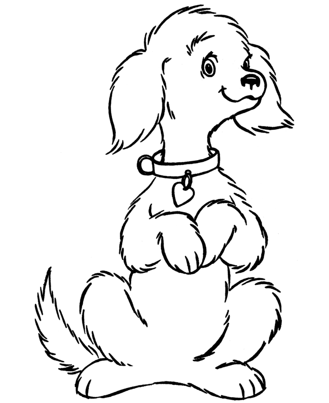 Cute Dogs Coloring Pages Images & Pictures - Becuo