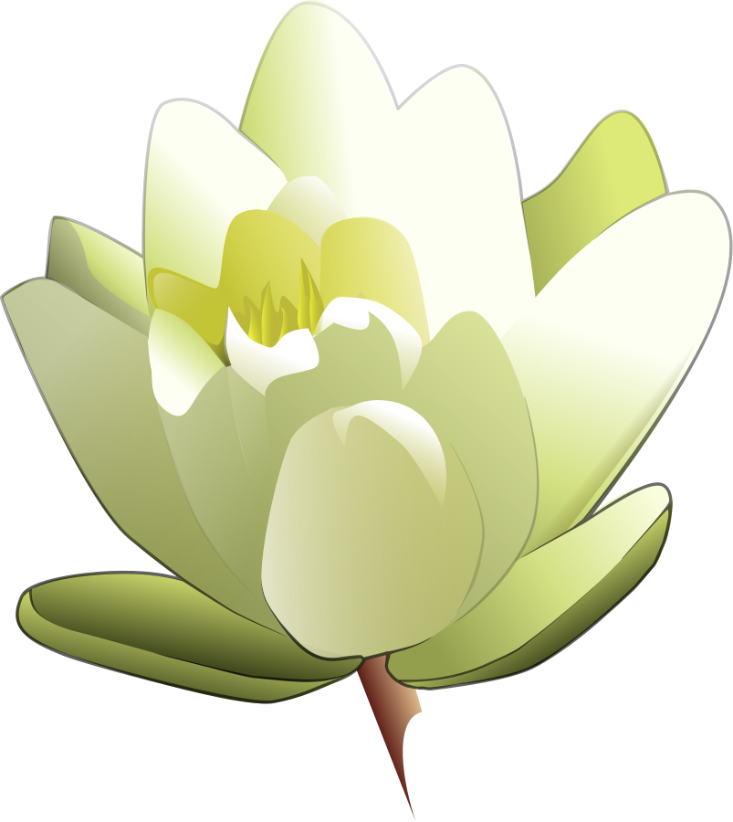 Water Lily Clipart, vector clip art online, royalty free design ...