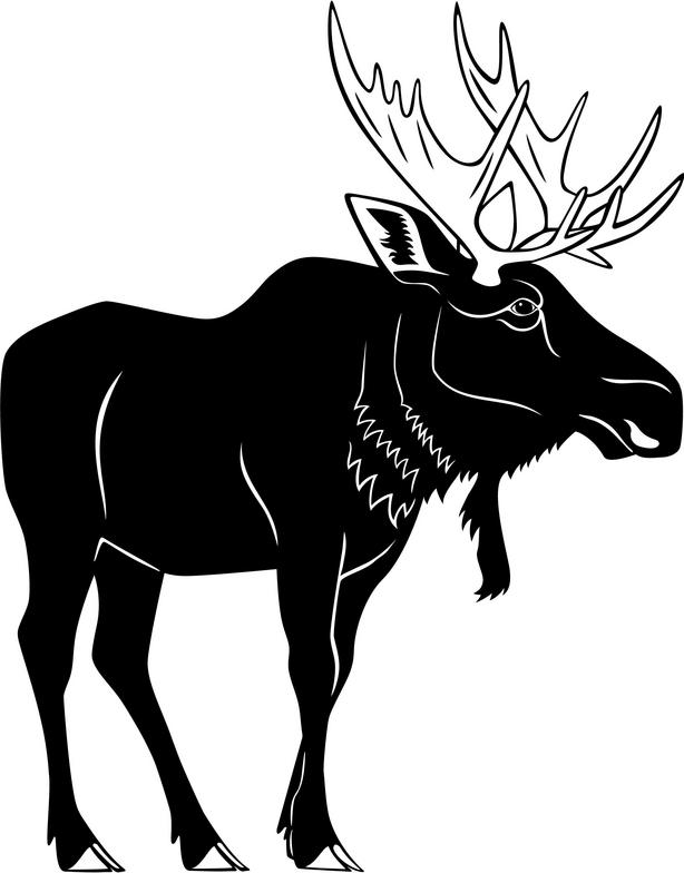 funny moose clipart - photo #32