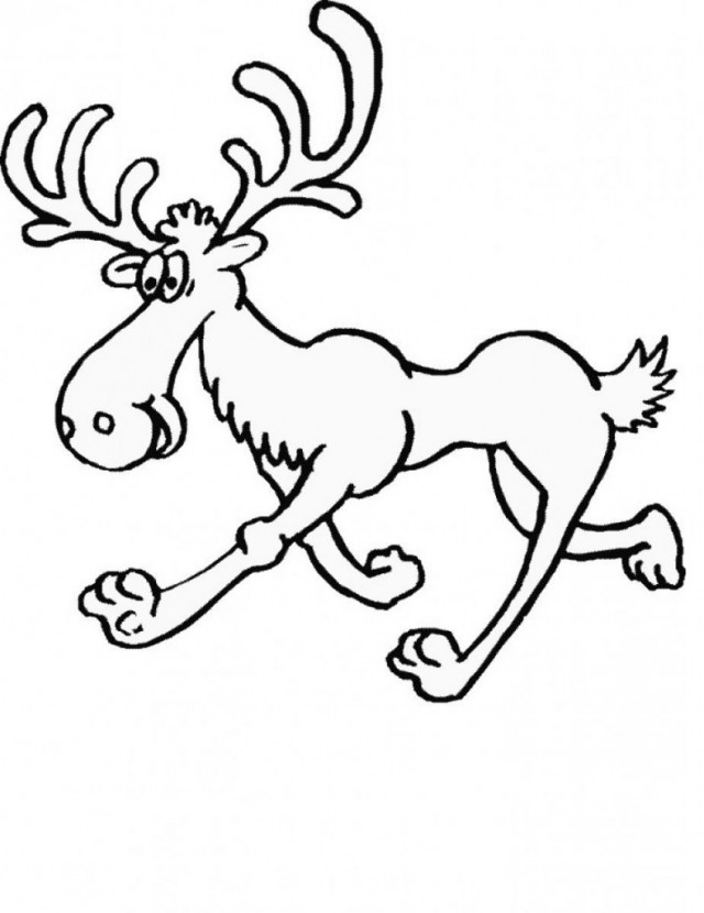 Moose Coloring Page 789 1024 Free Coloring Pages For Kids 244835 ...