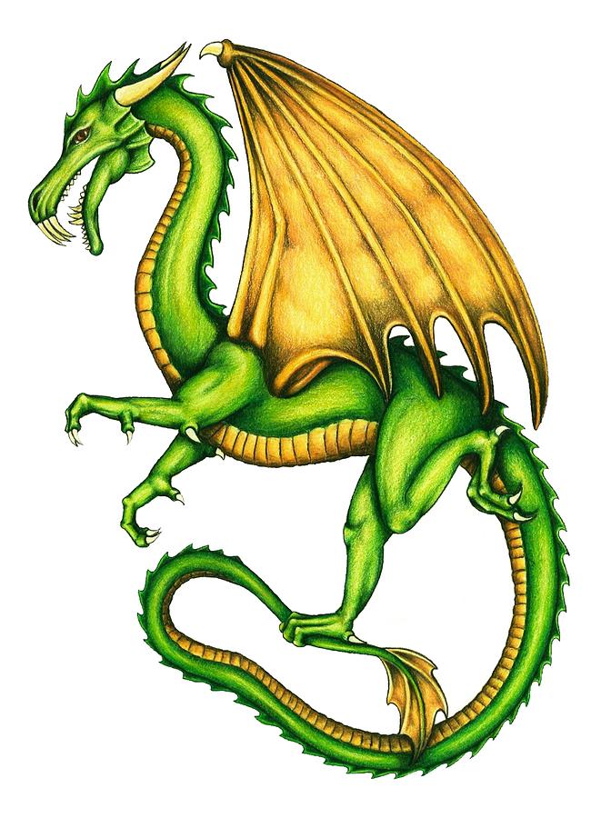 Images Of Dragon Drawings