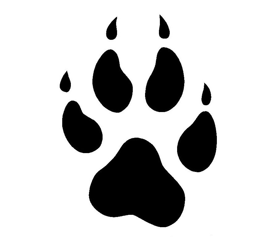 Furtastic | 3" Canine Paw Print Decal | Online Store Powered by ...