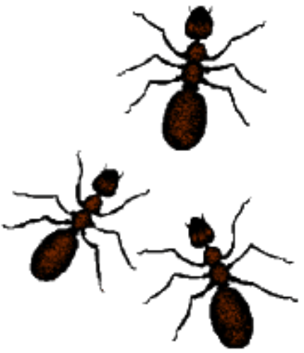 free animated ant clip art - photo #22