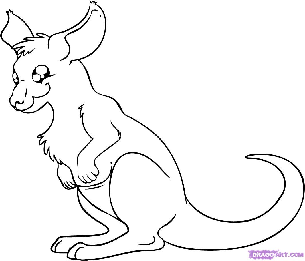 How to Draw a Cartoon Kangaroo, Step by Step, Cartoon Animals ...