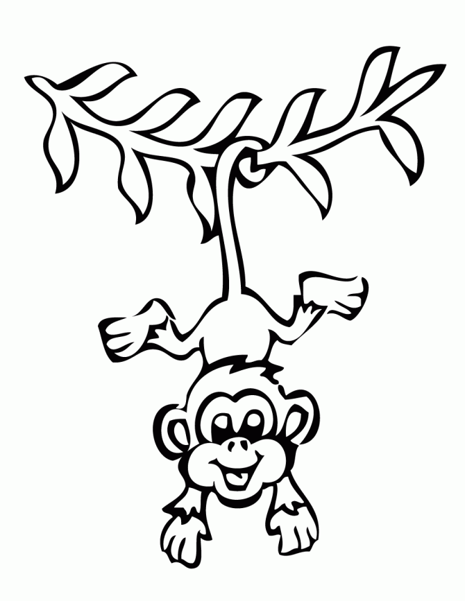 Hanging Monkey Drawing Images & Pictures - Becuo - AZ Coloring Pages