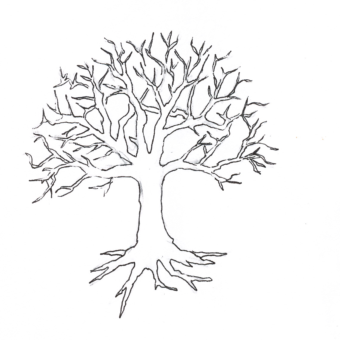 Leafless Tree Outline Printable Cliparts.co