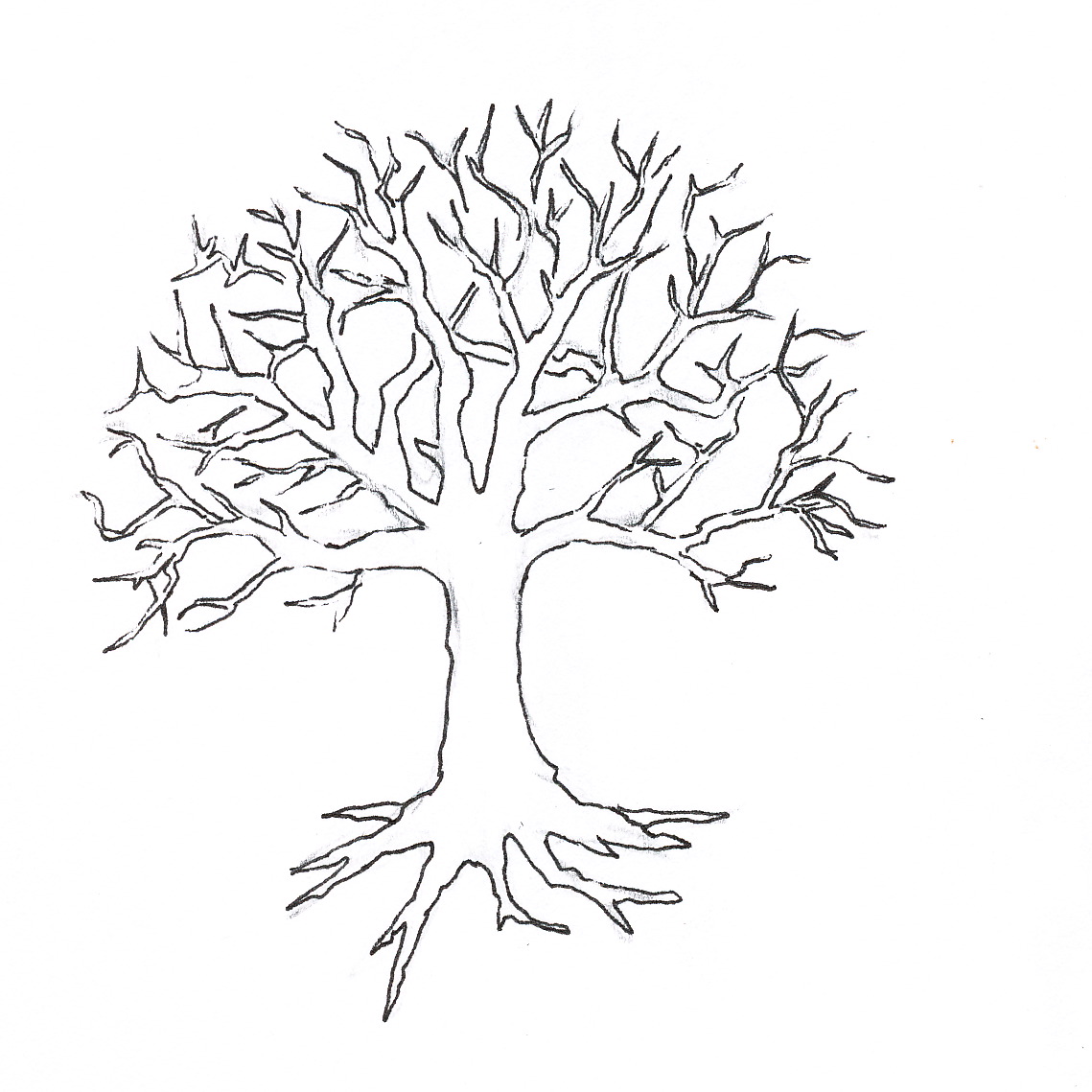 Leafless Tree Outline Printable Cliparts co