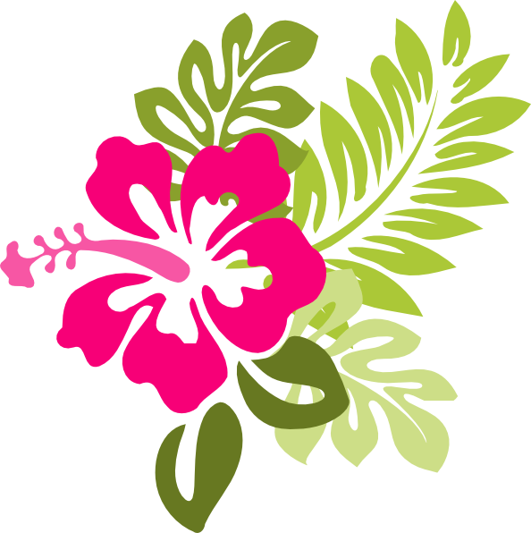 Hibiscus Cartoon - Cliparts.co