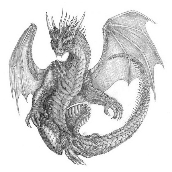 10+ Cool Dragon Drawings for Inspiration - Hative