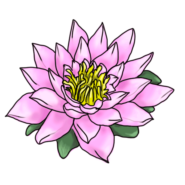 Easy Cartoon Drawing Images Of Lotus - Cliparts.co