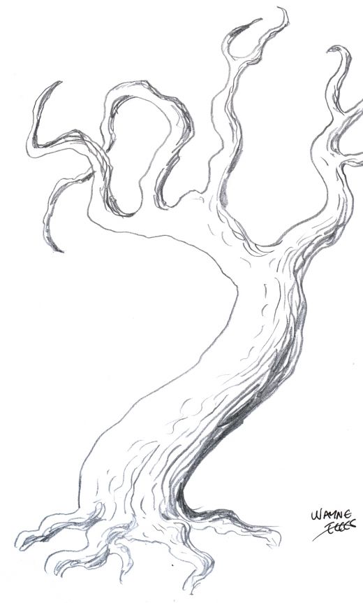 Drawing Trees: How To Draw A Tree Step By Step
