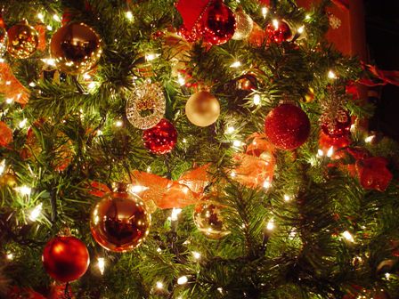 The Lights on The Tree | Teal's Blog