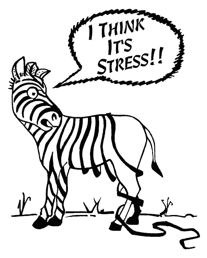 Dr. Sonja's Blog: Maybe It's Stress