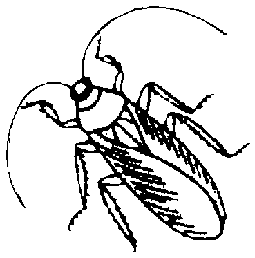 Arthur's B & W Insect Clipart Page 2