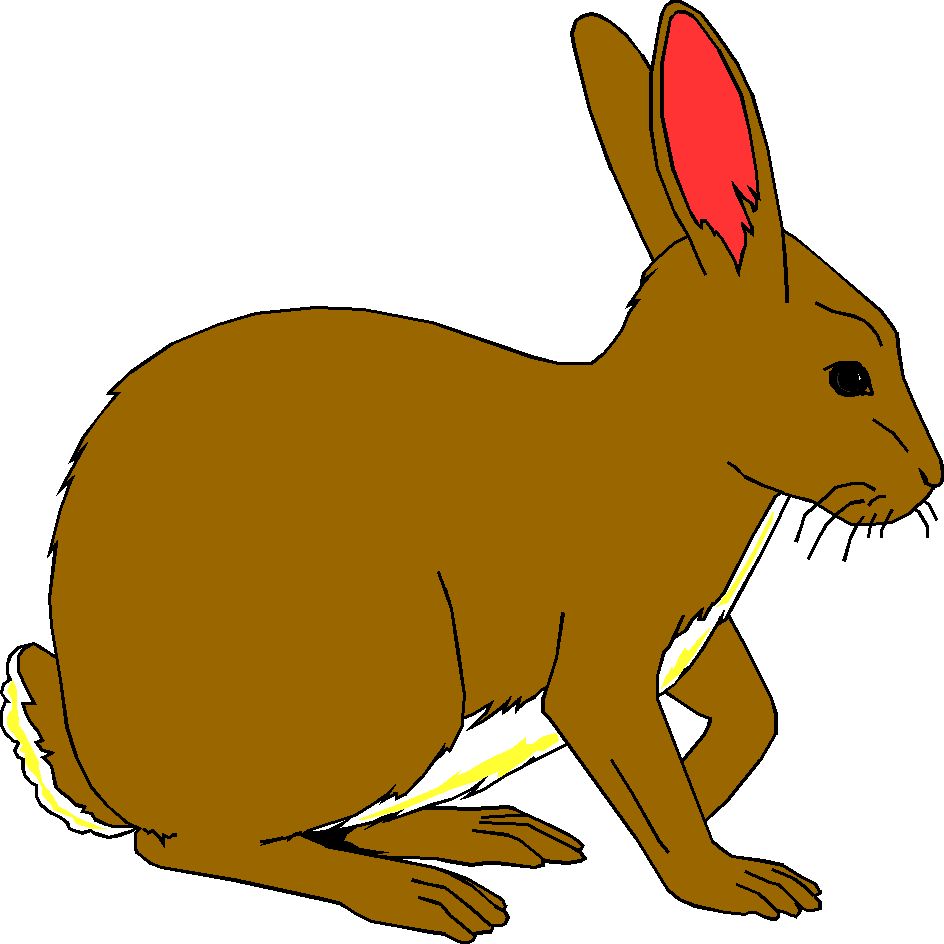All Cliparts: Rabbits Clipart Gallery1