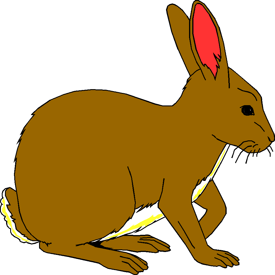 Rabbit Clipart - Cliparts.co