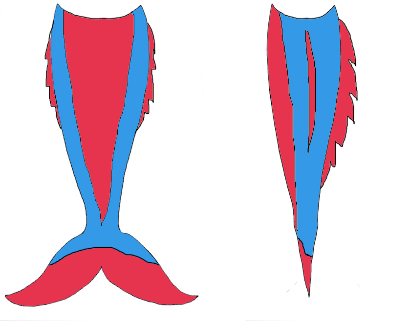 Mermaid tail idea by AuberyMirkwood on deviantART
