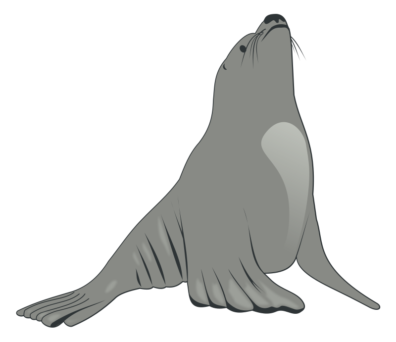 Sea Lion Clip Art Download