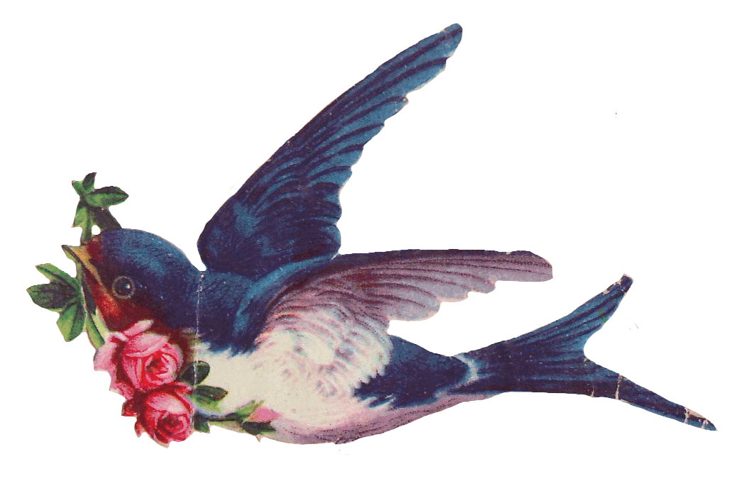 Sentimentalia - Victorian Stickers ~ Glansbilleder > Birds ~ Fugle