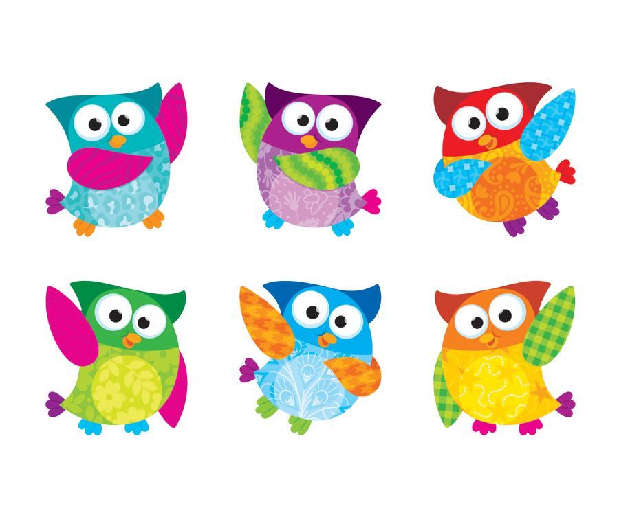 Owl Stars Classic Accents Variety Pack | T-