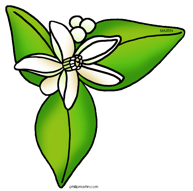 Free United States Clip Art by Phillip Martin, Florida State ...