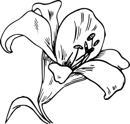 calla lily flower | Clipart Panda - Free Clipart Images