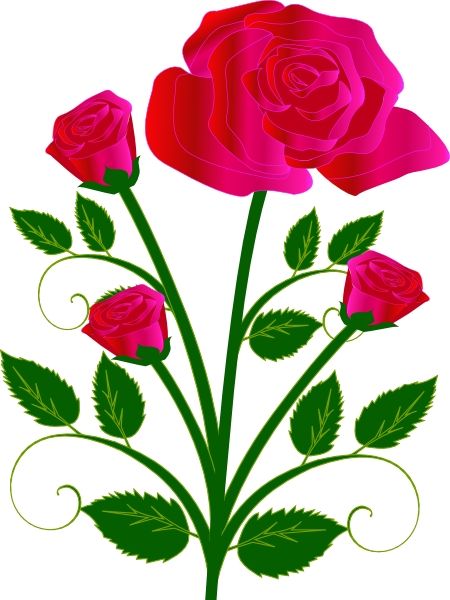 Pink Rose With Buds clip art - vector clip art online, royalty ...