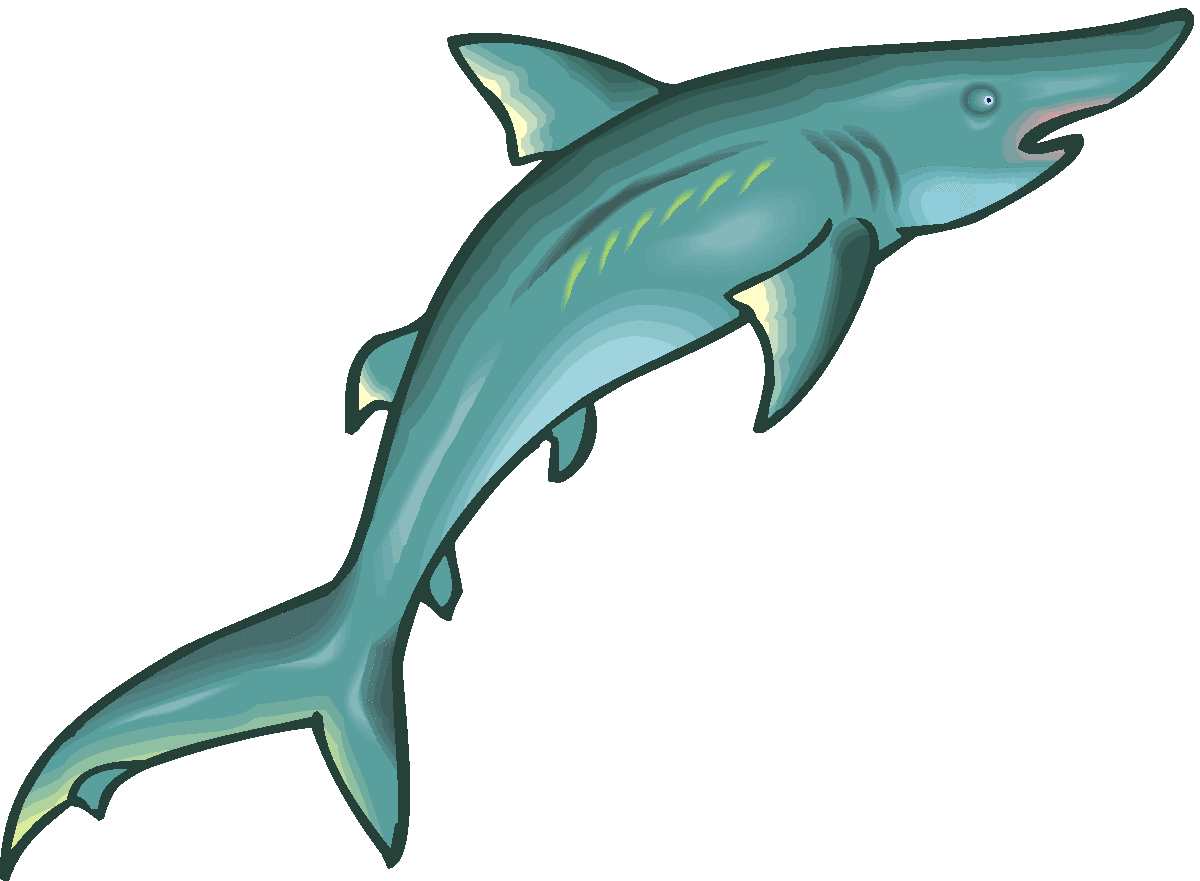 Images For > Hammerhead Shark Clip Art