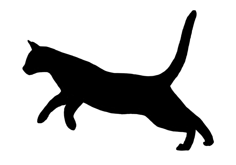 Cat Running 1 by rangerdoe on deviantART