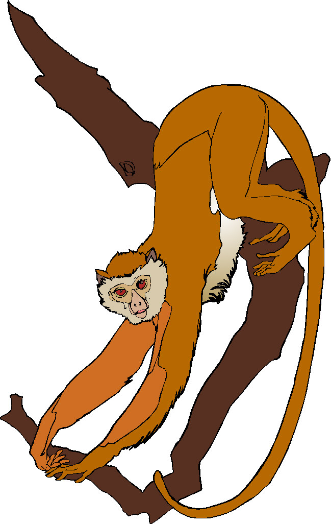 free clipart of cartoon monkeys - photo #49