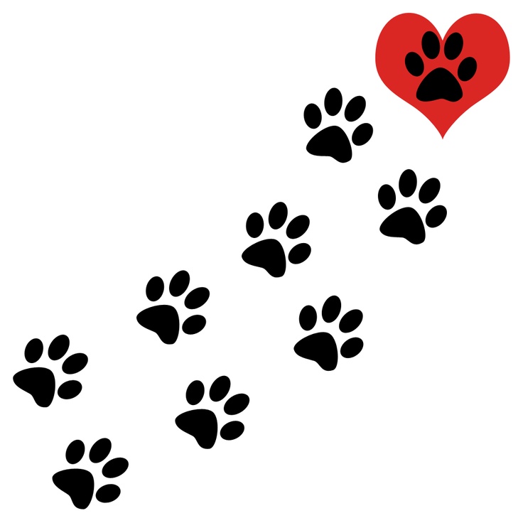 dog and cat paw print