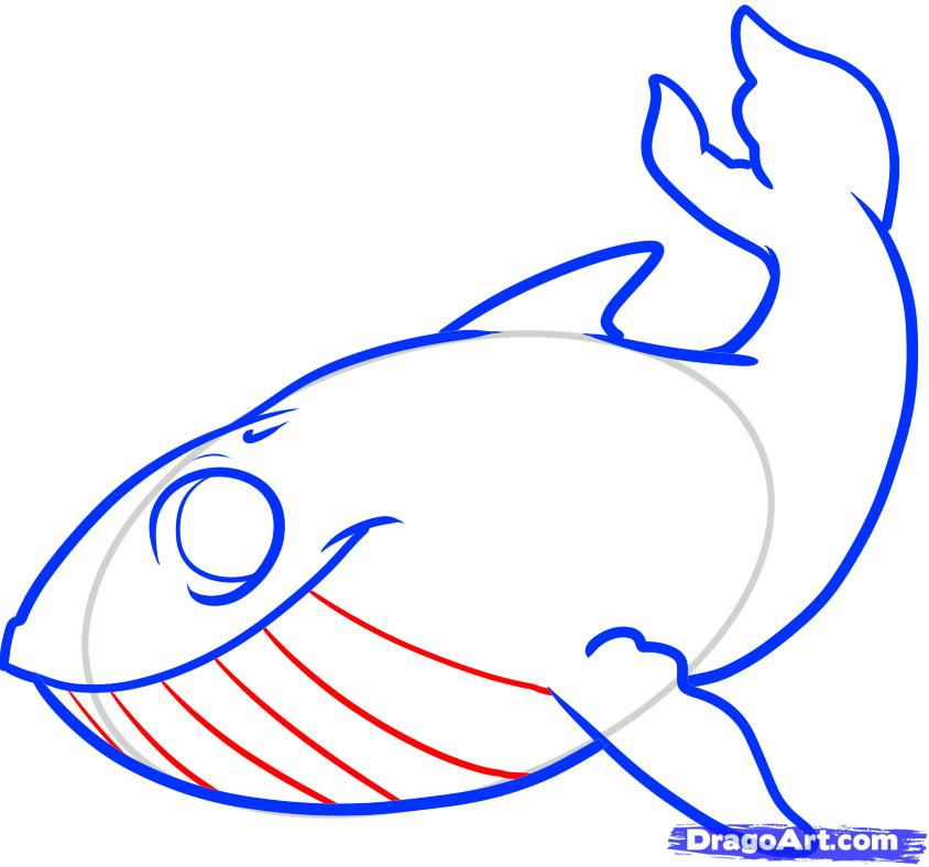 How to Draw a Whale for Kids, Step by Step, Animals For Kids, For ...