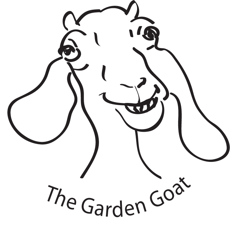Husband | gardengoatquote | a goat's journey over life's mountains ...
