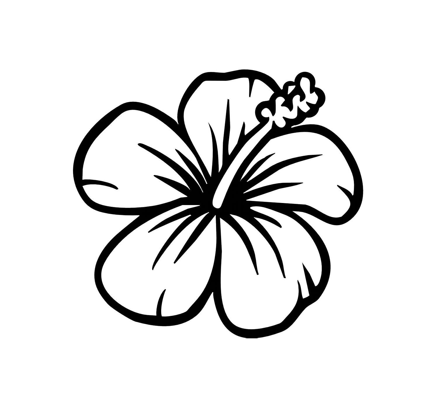 hibiscus-flower-outline-cliparts-co
