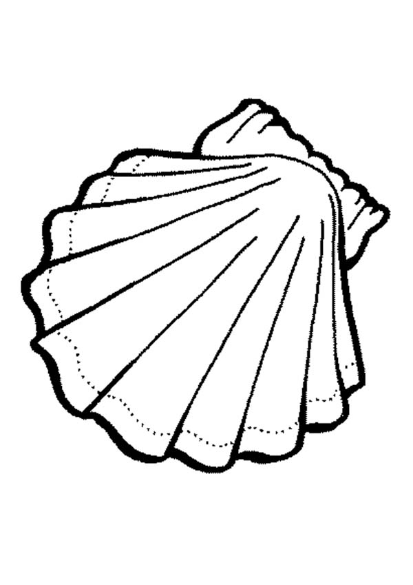 Shells Coloring Pages