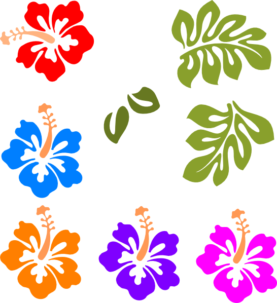 Hawaiian Flower Border Clip Art Images & Pictures - Becuo