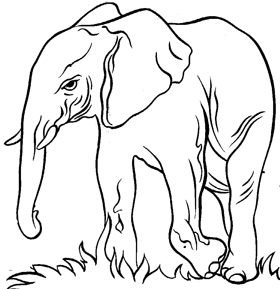 Elephant Line Art - Cliparts.co