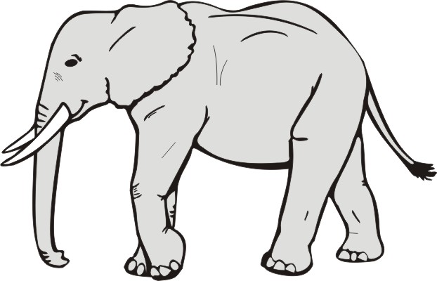 Black And White Elephant Drawings - ClipArt Best