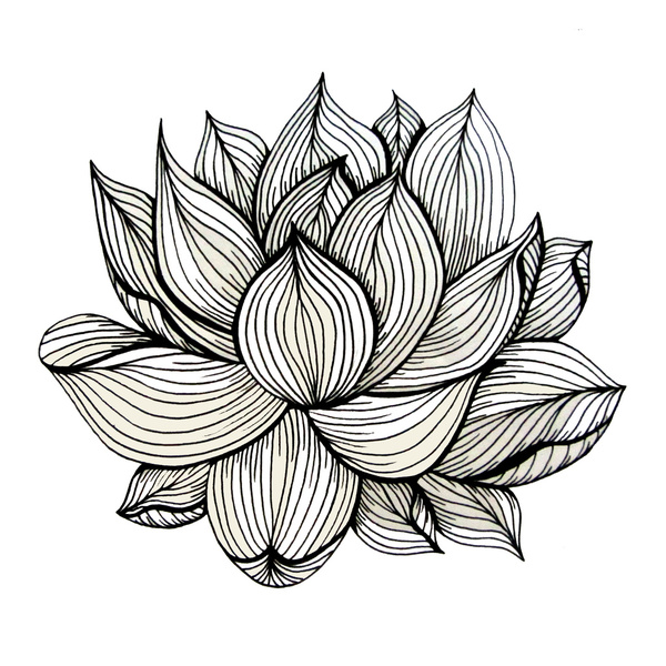 Lotus Flower, Black and white, Nature, Organic design, drawing ...